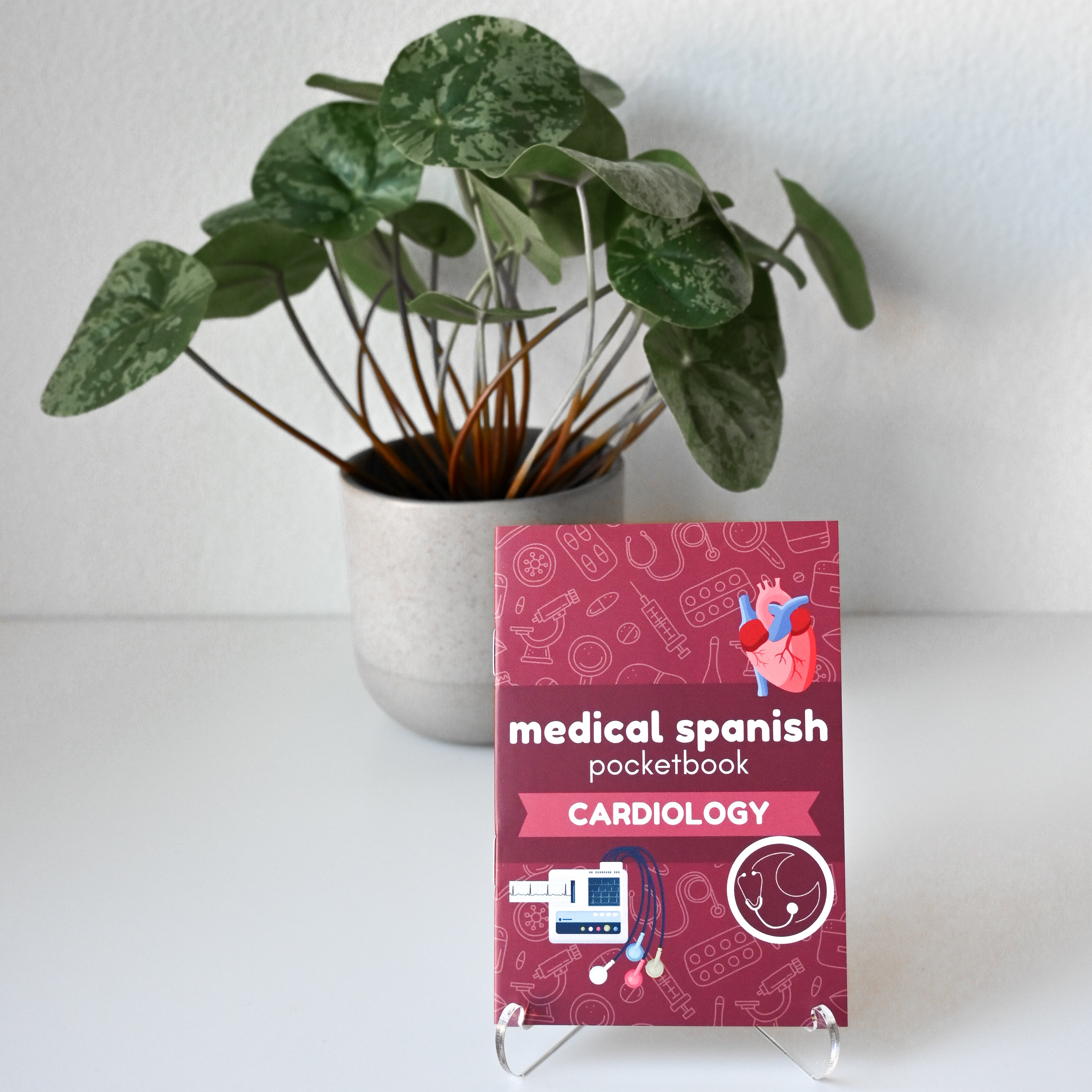 money plant in spanish CARDIOLOGY MEDICAL SPANISH POCKETBOOK – medlunaandco