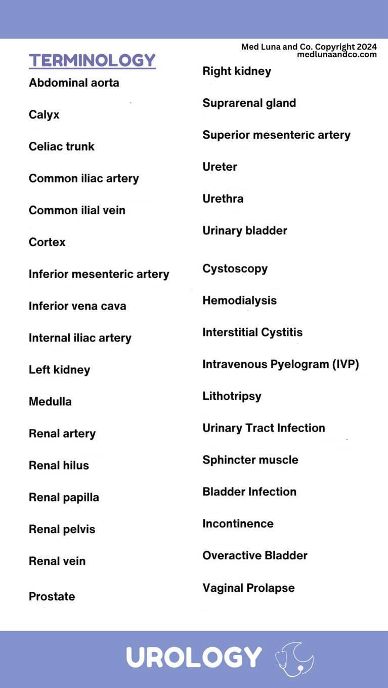 UROLOGY MEDICAL SPANISH BADGE