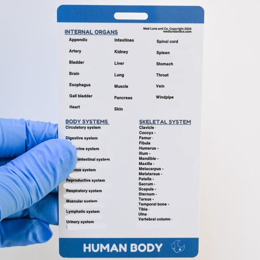 HUMAN BODY MEDICAL SPANISH BADGE