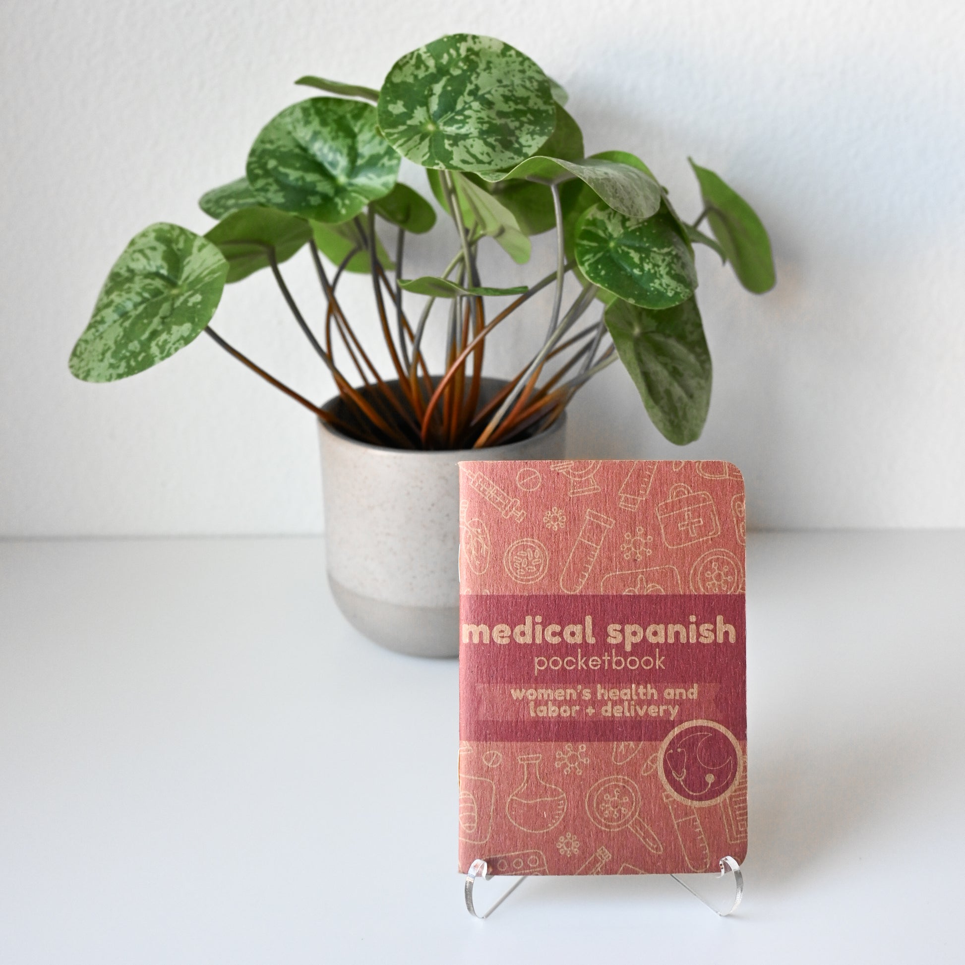 money plant in spanish LABOR AND DELIVERY / WOMEN'S HEALTH MEDICAL SPANISH POCKETBOOK