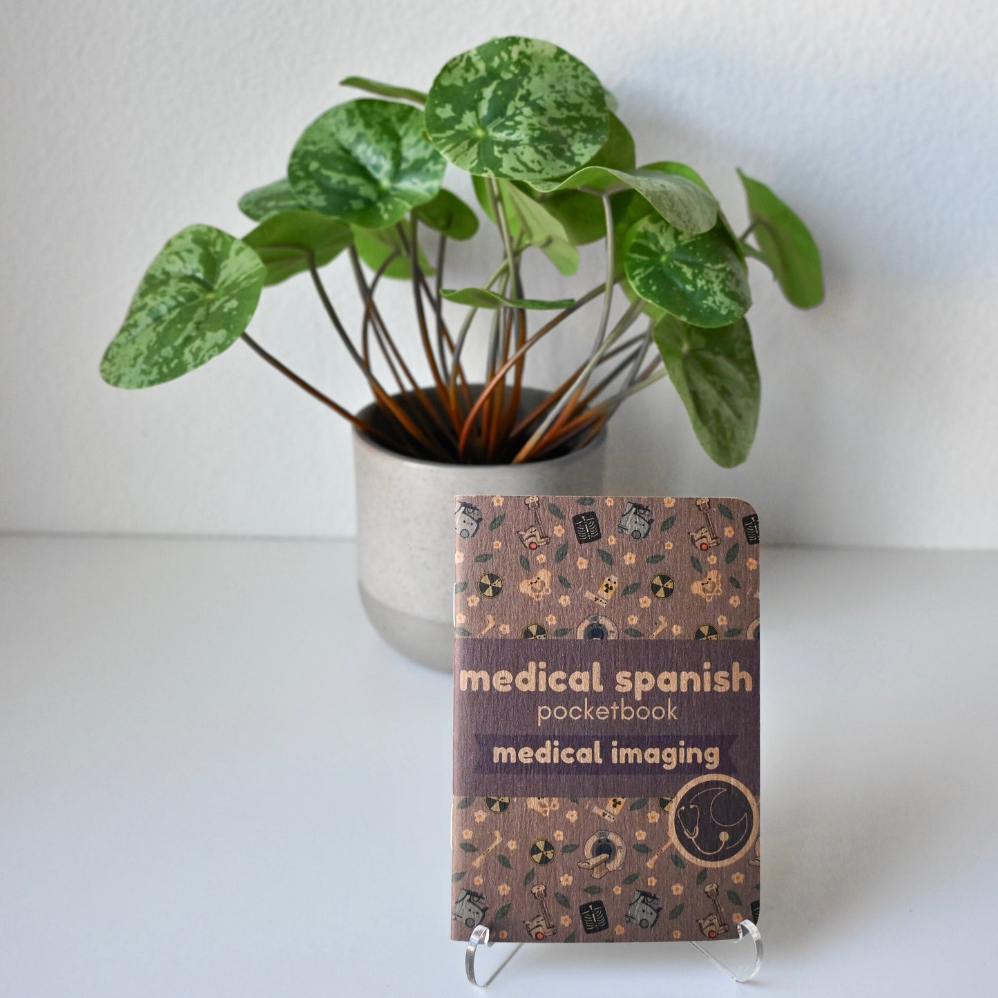 money plant in spanish MEDICAL IMAGING / RADIOLOGY MEDICAL SPANISH POCKETBOOK – medlunaandco