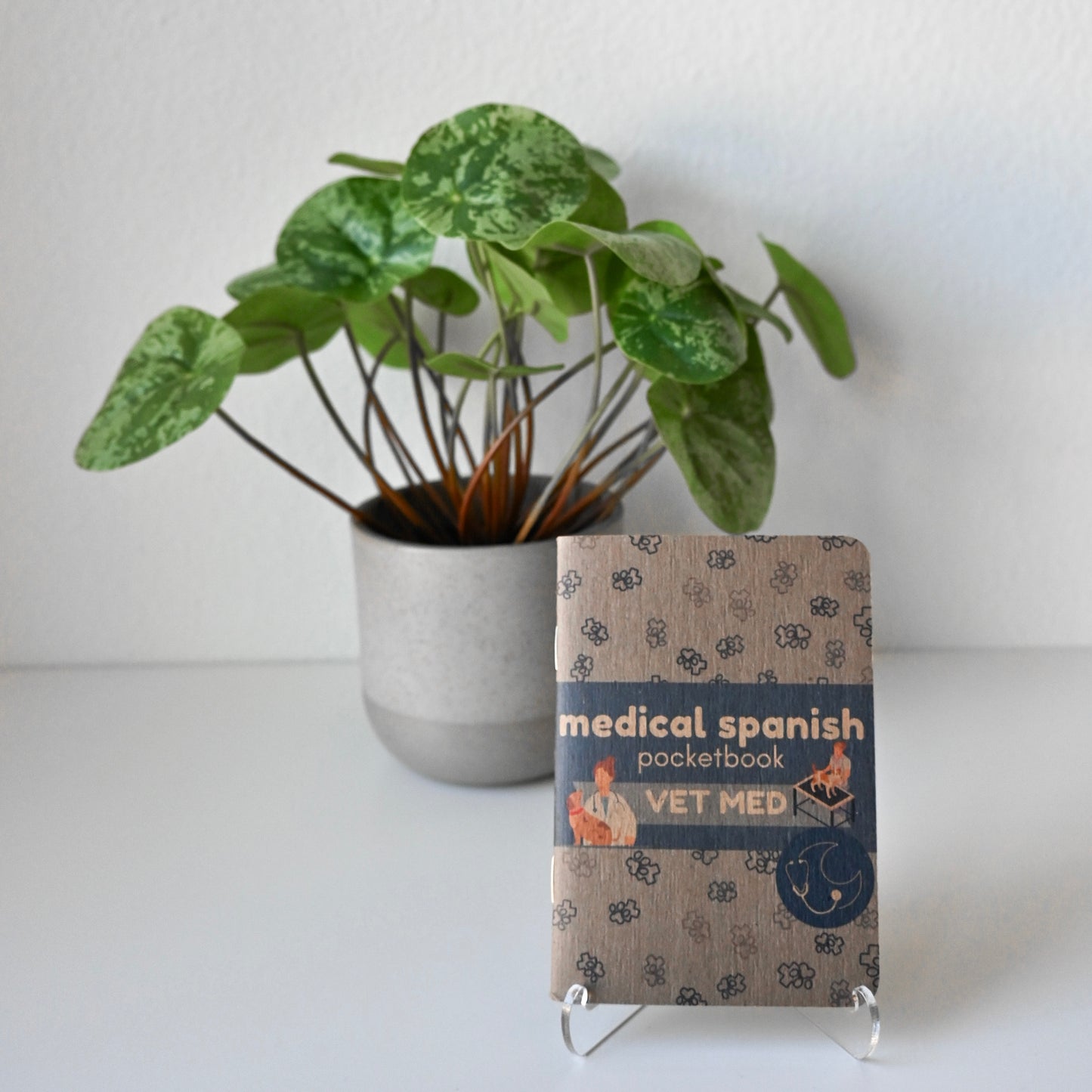 VETERINARY MEDICINE MEDICAL SPANISH POCKETBOOK